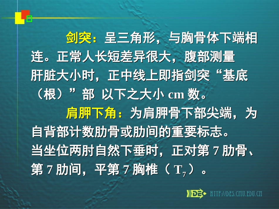 胸部体表标志_第3页