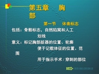 胸部体表标志