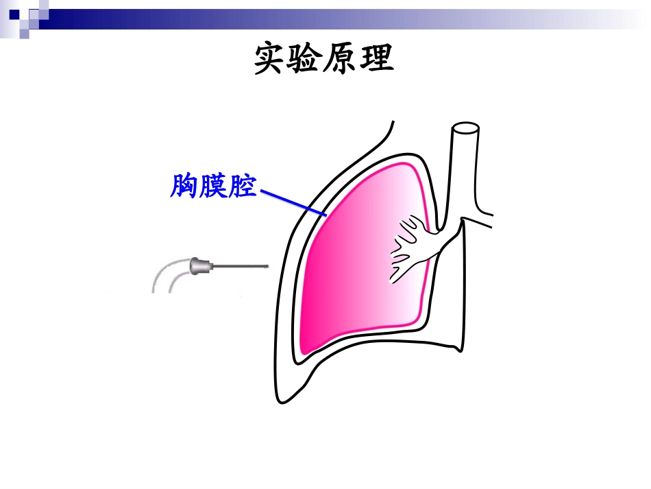 胸膜腔内压的测定_第3页