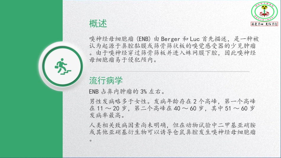 嗅神经母细胞瘤_第2页