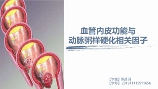 血管内皮功能与动脉粥样硬化相关因子