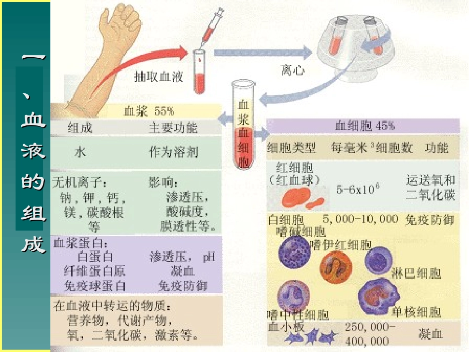 血浆血清全血区别幻灯片_第3页