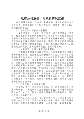 地市公司主任一岗双责情况汇报