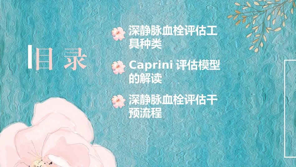 血栓评估量表应用_第2页