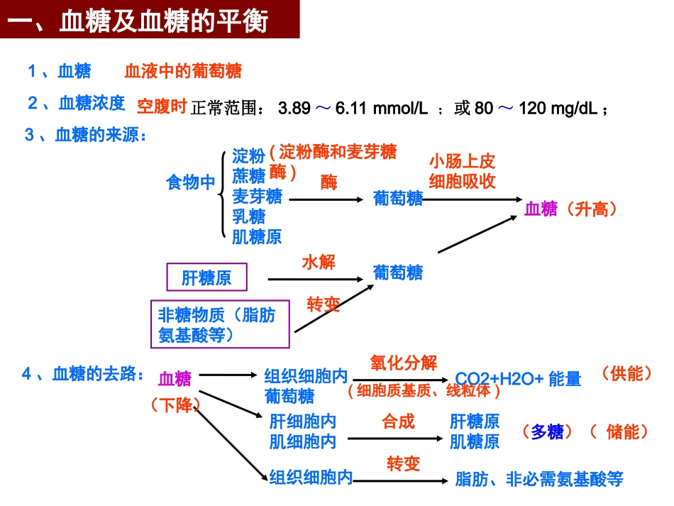 血糖的平衡及其调节_第3页