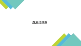 血液红细胞介绍