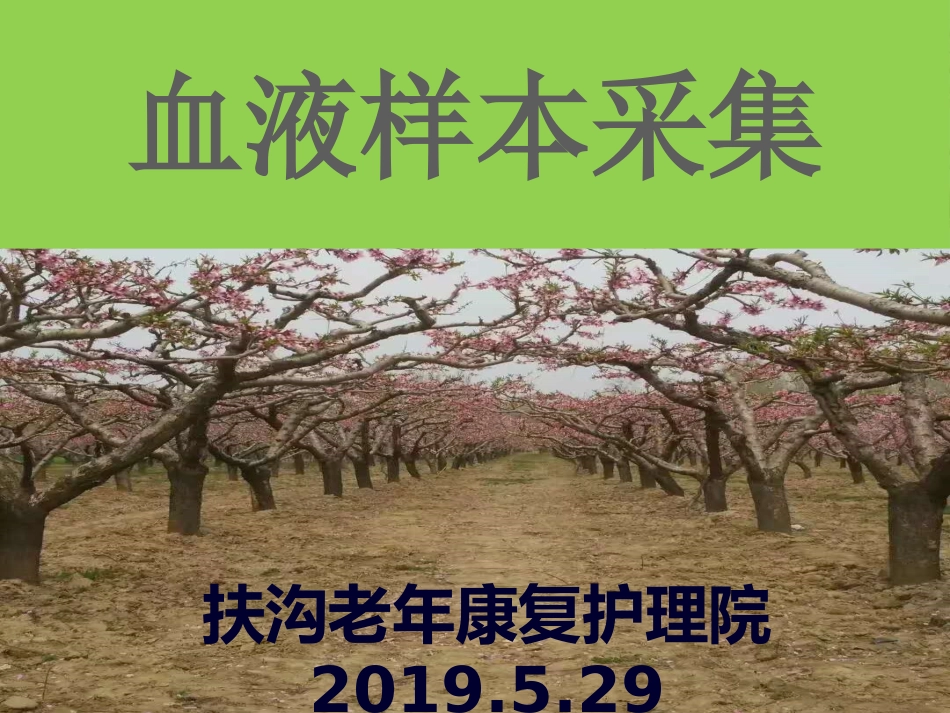 血液样本采集_第1页