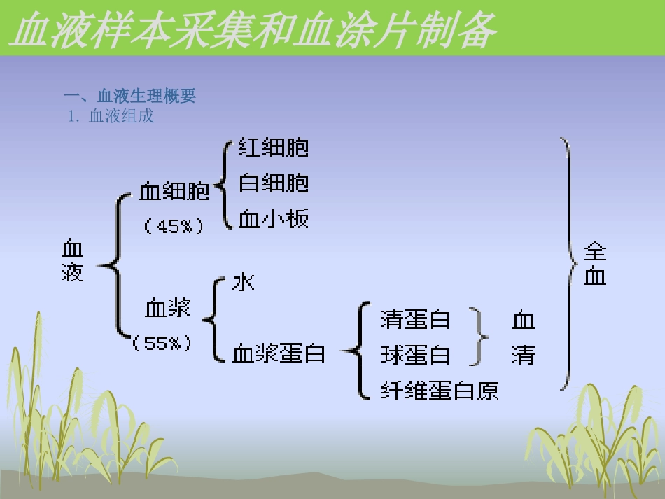 血液样本采集_第3页