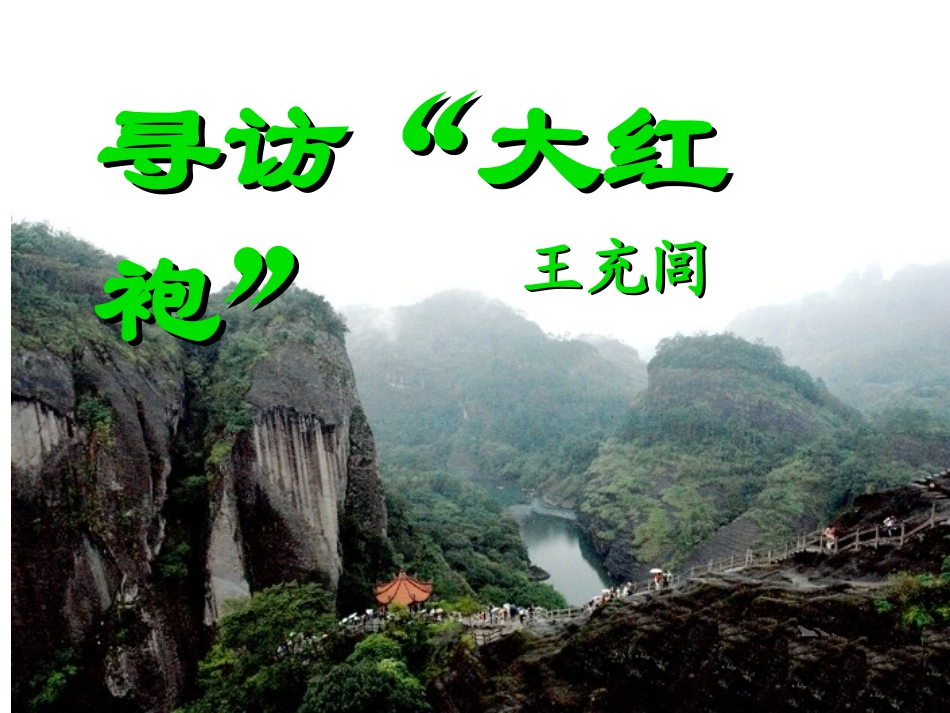 寻访大红袍课件_第1页