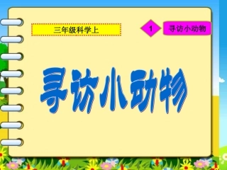 寻访小动物课件