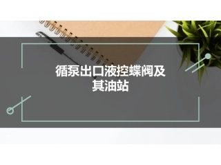 循泵出口液控蝶阀及其油站