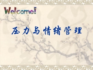 压力与情绪管理培训课件