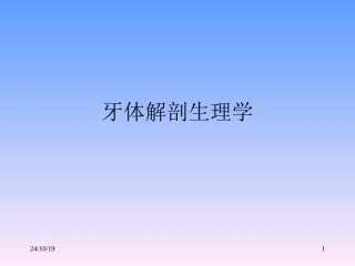 牙齿解剖课件