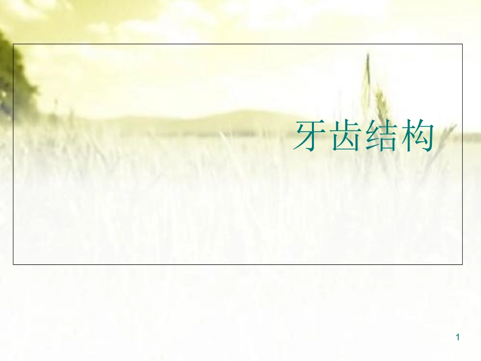 牙科基础知识培训_第1页