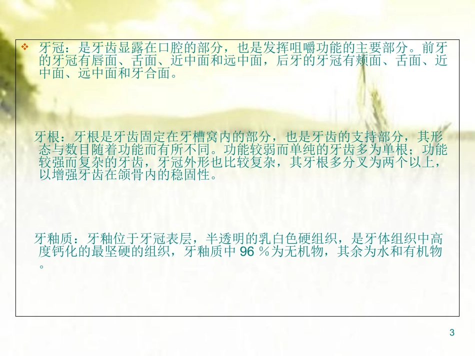 牙科基础知识培训_第3页