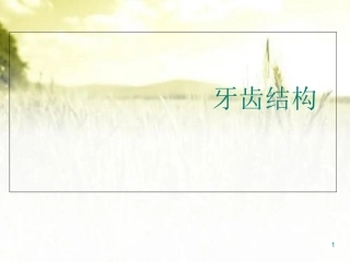 牙科基础知识培训