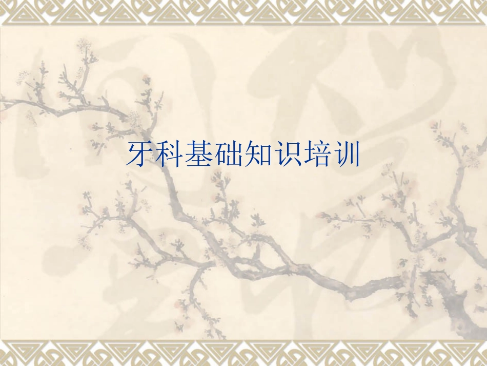 牙科基础知识培训教材_第1页