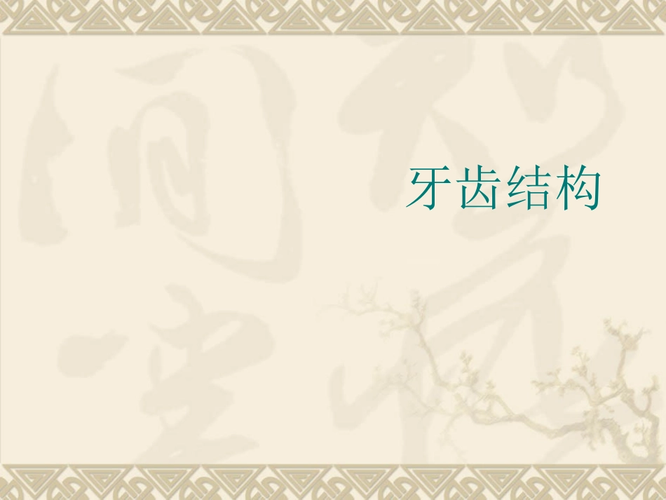 牙科基础知识培训教材_第2页