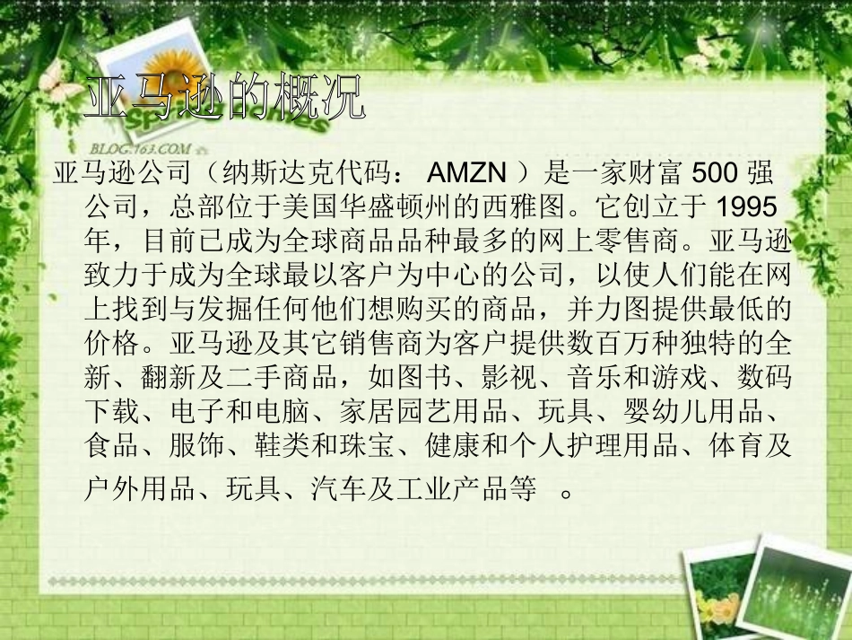 亚马逊案例分析_第2页