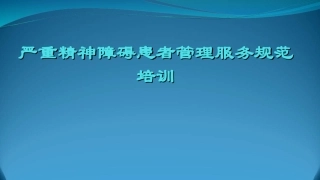 严重精神障碍患者管理服务规范标准