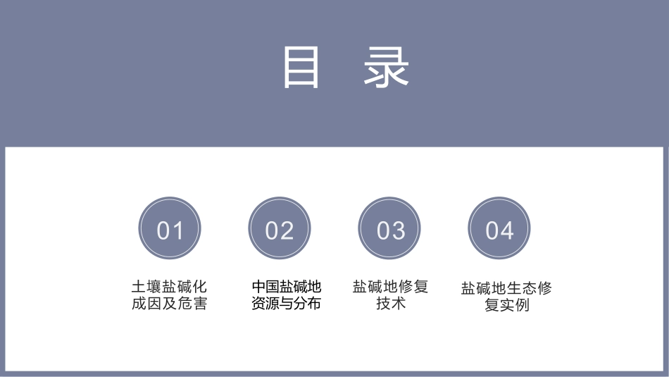盐碱地生态修复_第2页