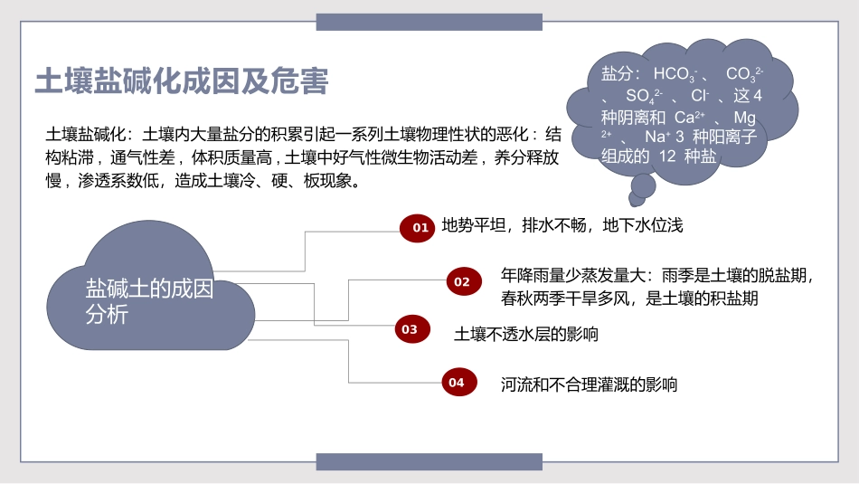 盐碱地生态修复_第3页