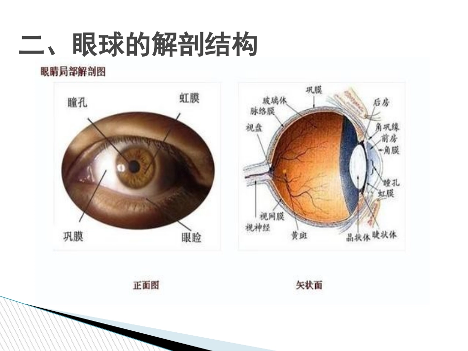 颜莹如何正确滴眼药水_第3页