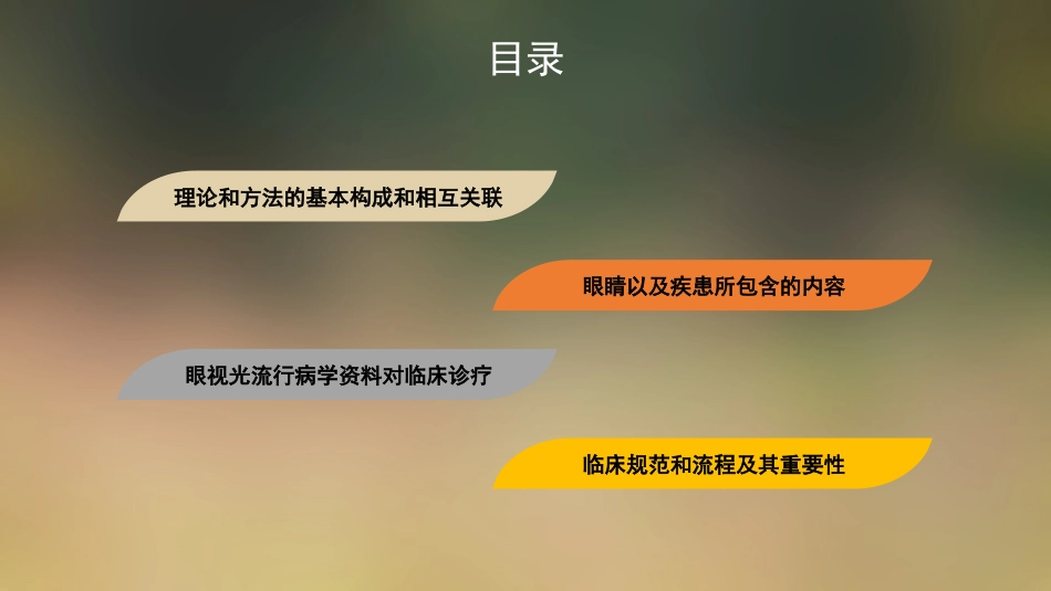 眼视光学理论和方法_第2页