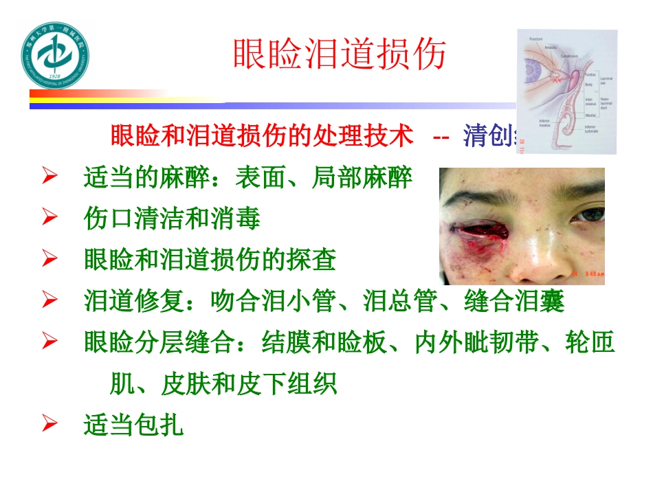 眼外伤处置技术_第3页
