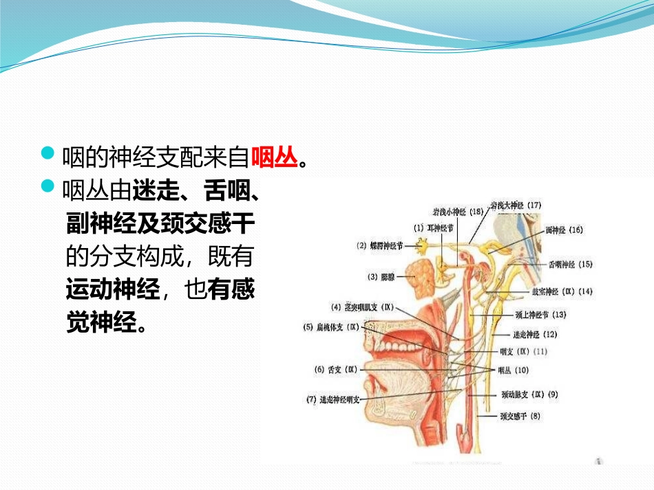 咽神经性疾病和感觉异常_第2页