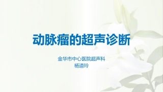 杨道玲动脉瘤的超声表现