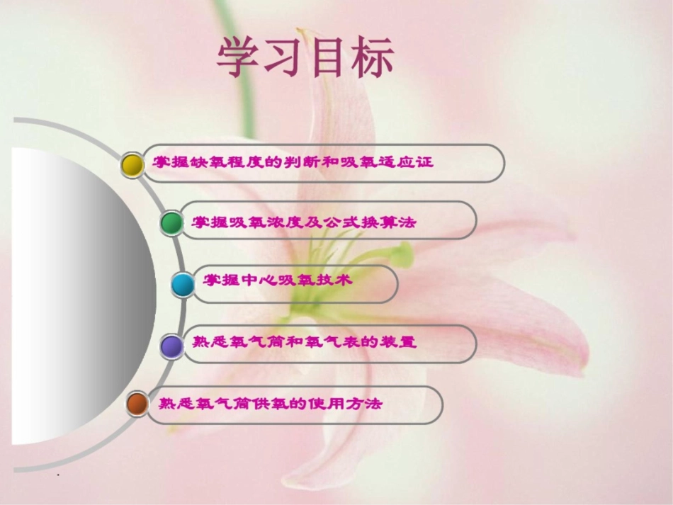 氧气吸入技术课件_第2页