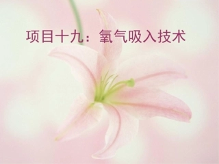 氧气吸入技术课件