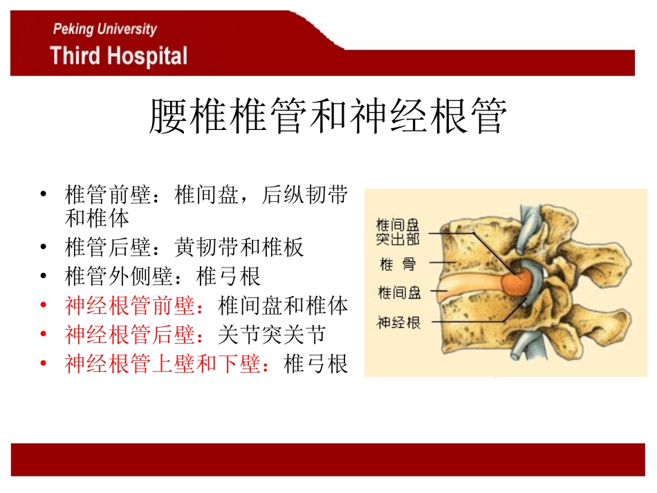 腰椎管狭窄症_第2页