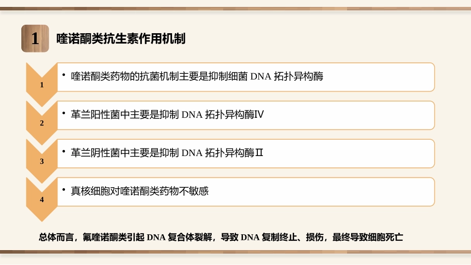 药品说明书解读_第3页