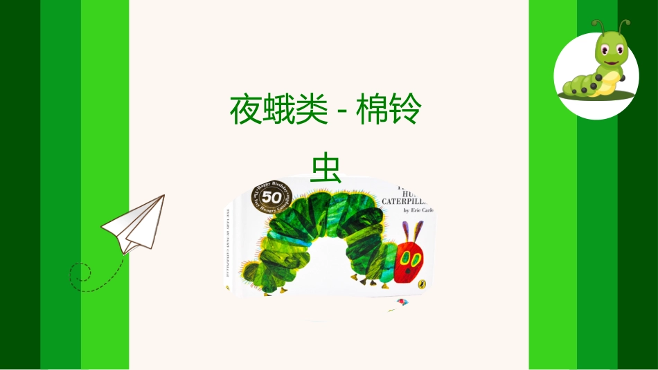药用植物病虫害学棉铃虫简介_第1页