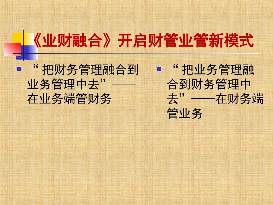 业财融合纲要精编版_第2页