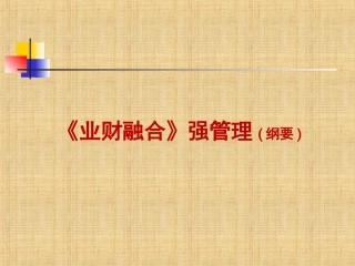 业财融合纲要精编版