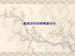 一般现在时的特殊疑问句专题培训课件
