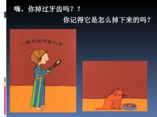 一颗顽固的牙课件
