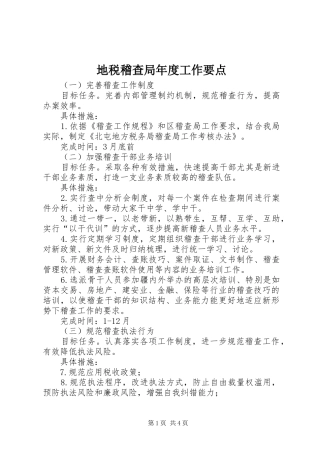 地税稽查局年度工作要点