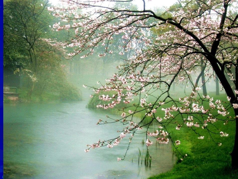 一粒种子课件_第2页