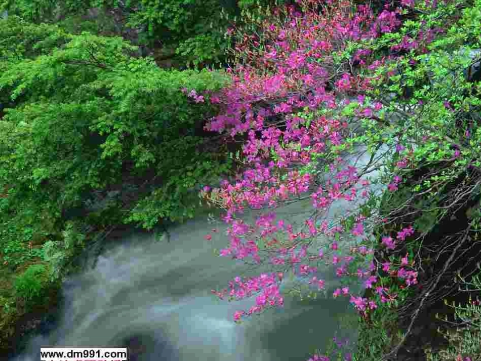 一粒种子课件_第3页