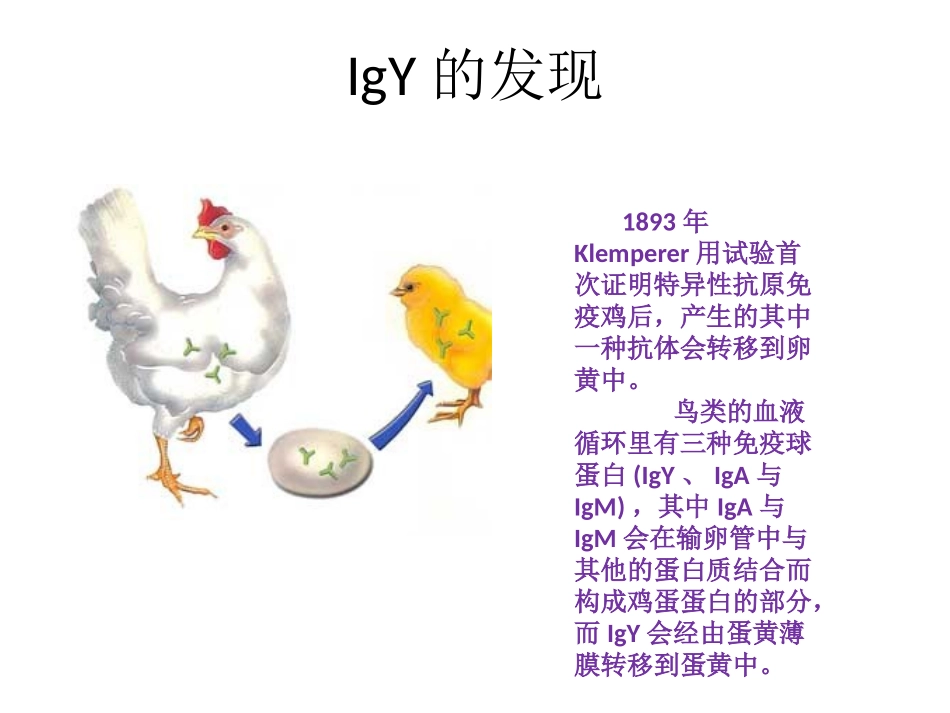 医蓓舒高危HPV多克隆抗体的制备和应用_第3页