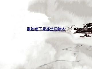 医学腹腔镜下肾部分切除术课件