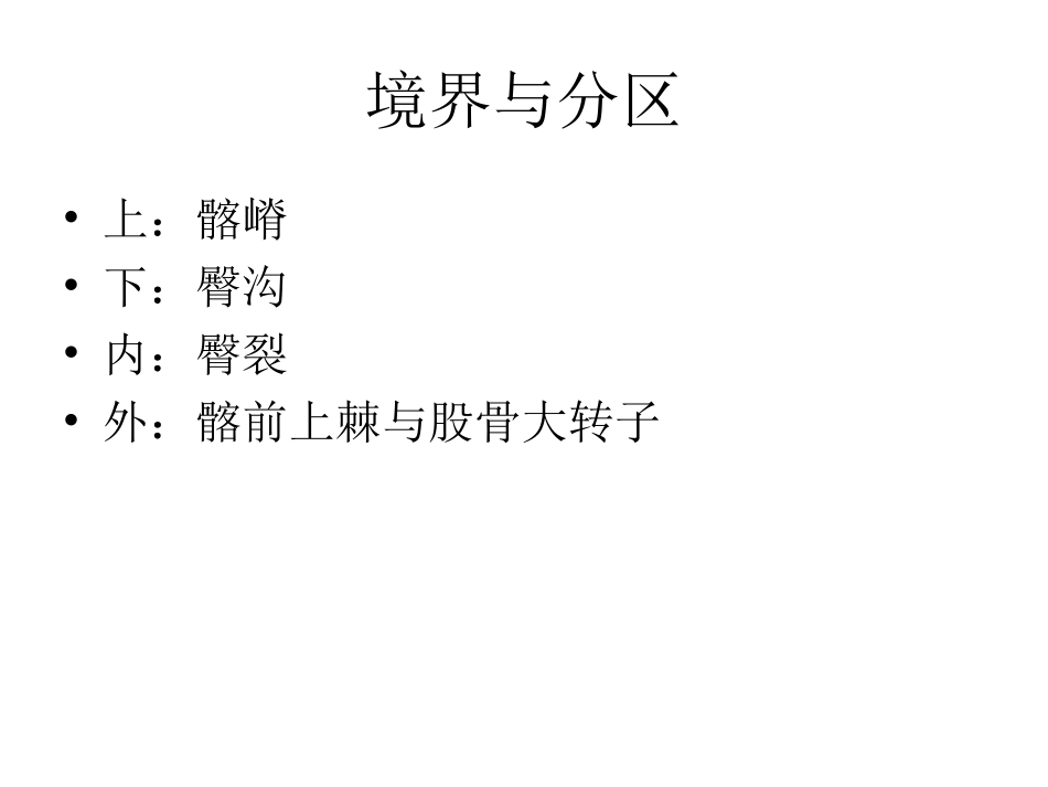医学课件臀部的解剖专业医学知识宣讲_第1页