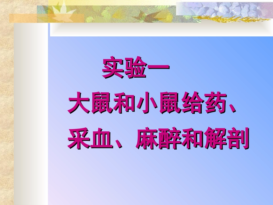 医学实验动物学实验一大小鼠给药采血麻醉和解剖_第2页