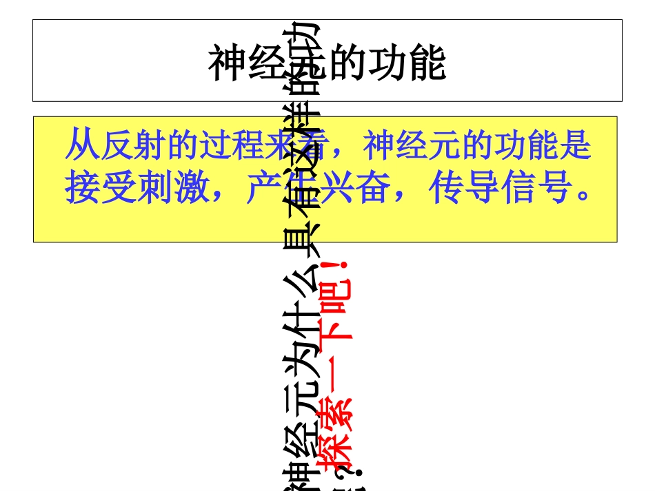 医学兴奋在神经纤维上的传导含动画培训课件_第2页