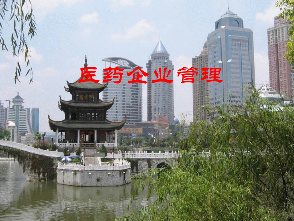 医药企业管理_第1页