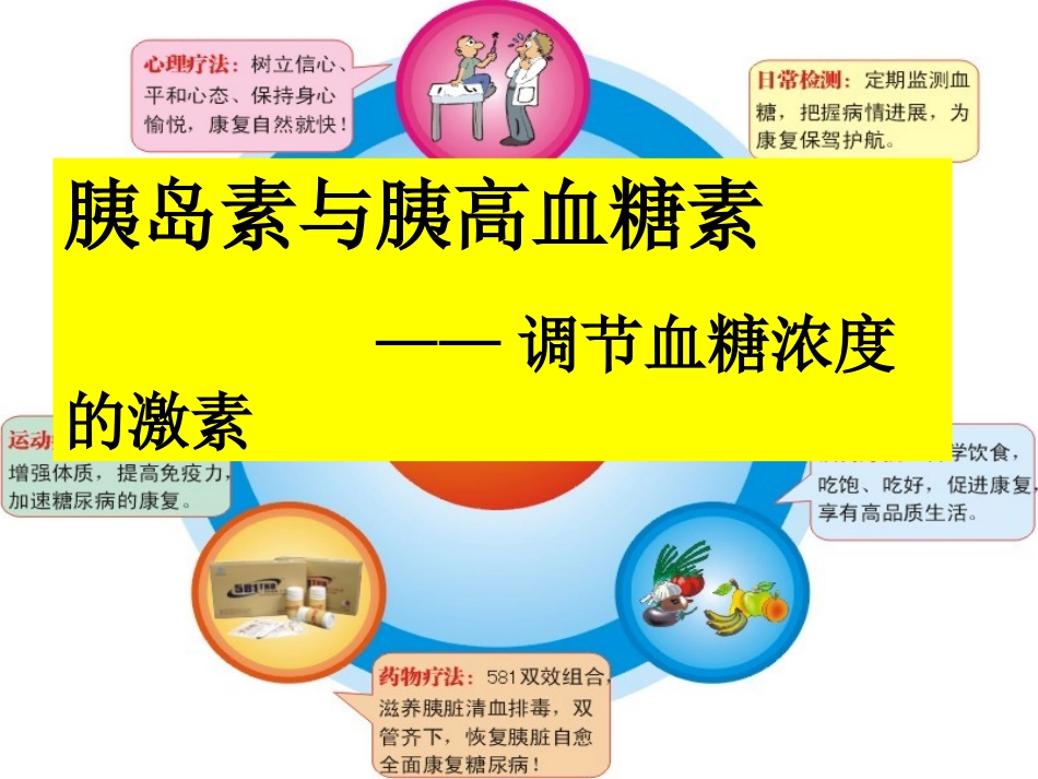 胰岛素和胰高血糖素_第2页